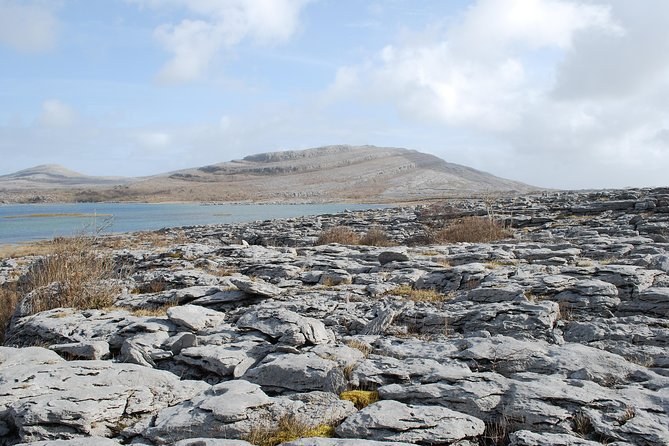 The limestone pavement of the Burren, the karst landscape inland from the cliffs