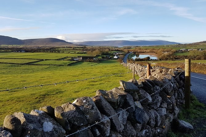 Dry stone walls dividing the Burren's limestone fields