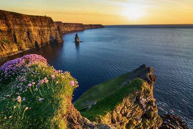 Sea pinks in flower on the cliff edge at the Cliffs of Moher, with the wall beyond