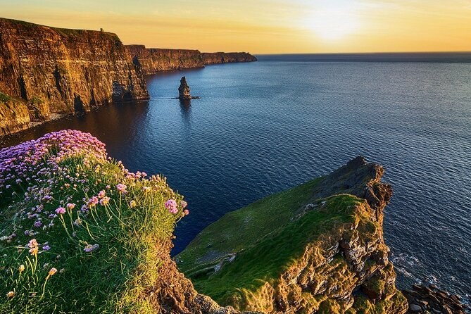 Cushions of sea thrift on the cliff top above the Cliffs of Moher at sunset